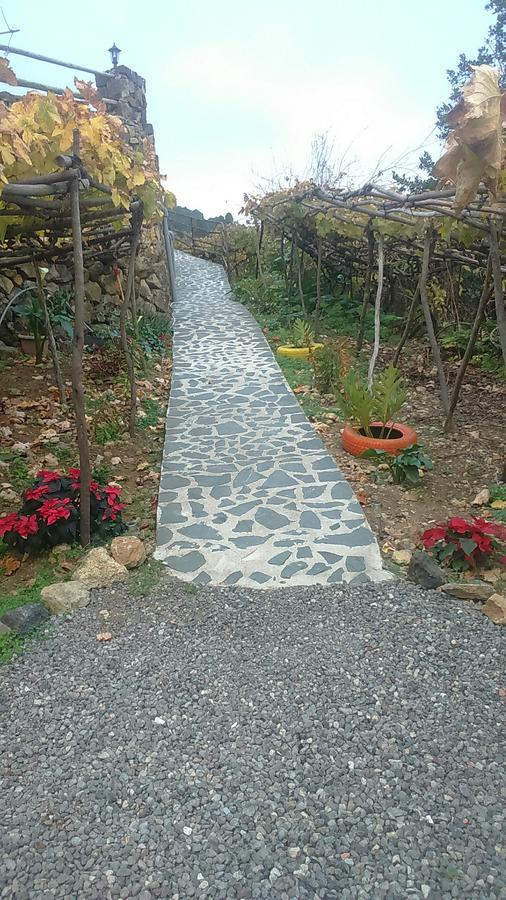 Casa Canaria La Moncloa Villa Icod De Los Vinos Eksteriør billede