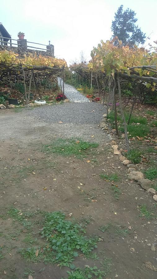 Casa Canaria La Moncloa Villa Icod De Los Vinos Eksteriør billede